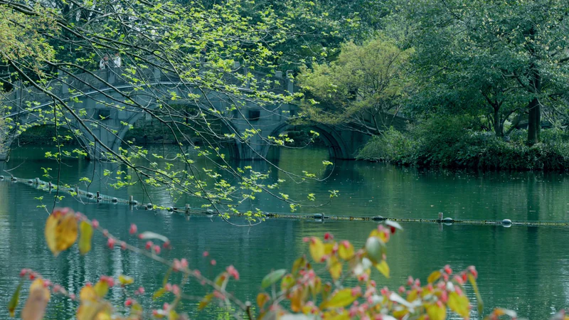 A bridge over the pond in Central Park, spring leaves in front — before