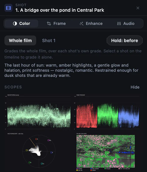 Kiru’s live scopes on a graded shot: waveform, RGB parade, vectorscope with the skin-tone line, and false colour, with a plain-words note under them.